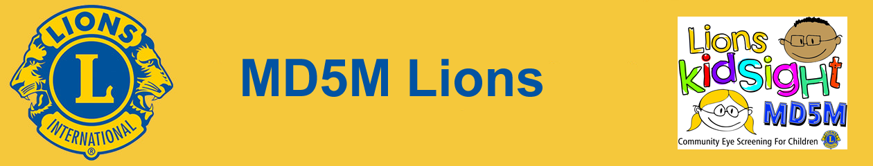 MD5M Lions Kidsight Banner